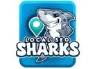 Local SEO Sharks