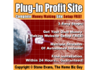 Exclusive automated system, you can now tap in to four distinct income streams seamlessly.