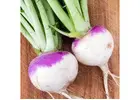 Sow Bountiful Harvests: 11000+ Purple Top White Turnip Seeds - Brassica Rapa for Rich