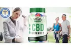 Vitality Vibes CBD Gummies (OFFICIAL REPORT) Enhancing Focus & Clarity, Non Habit Forming