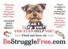 Free Reiki Healing with Every Virtual Psychic Reading - Book Now!